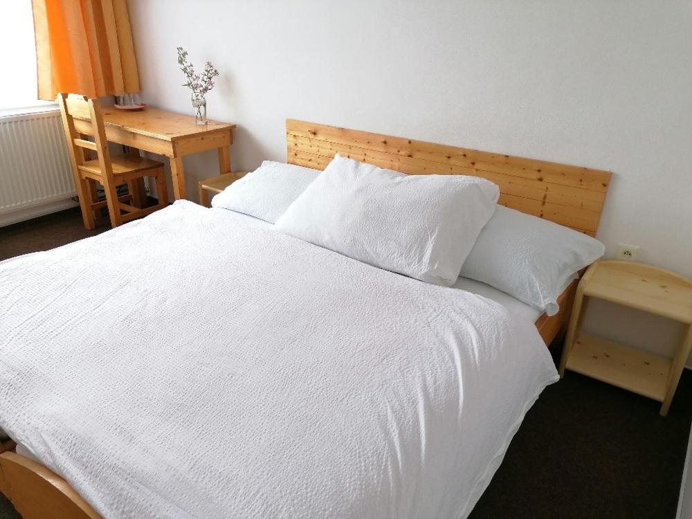 Otevřená Náruč Pension Letovice Esterno foto
